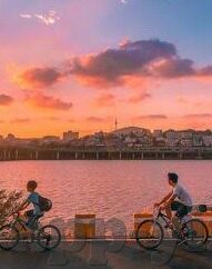 麻豆-传媒app-麻豆-传媒app，数字时代的文化脉络与内容创新